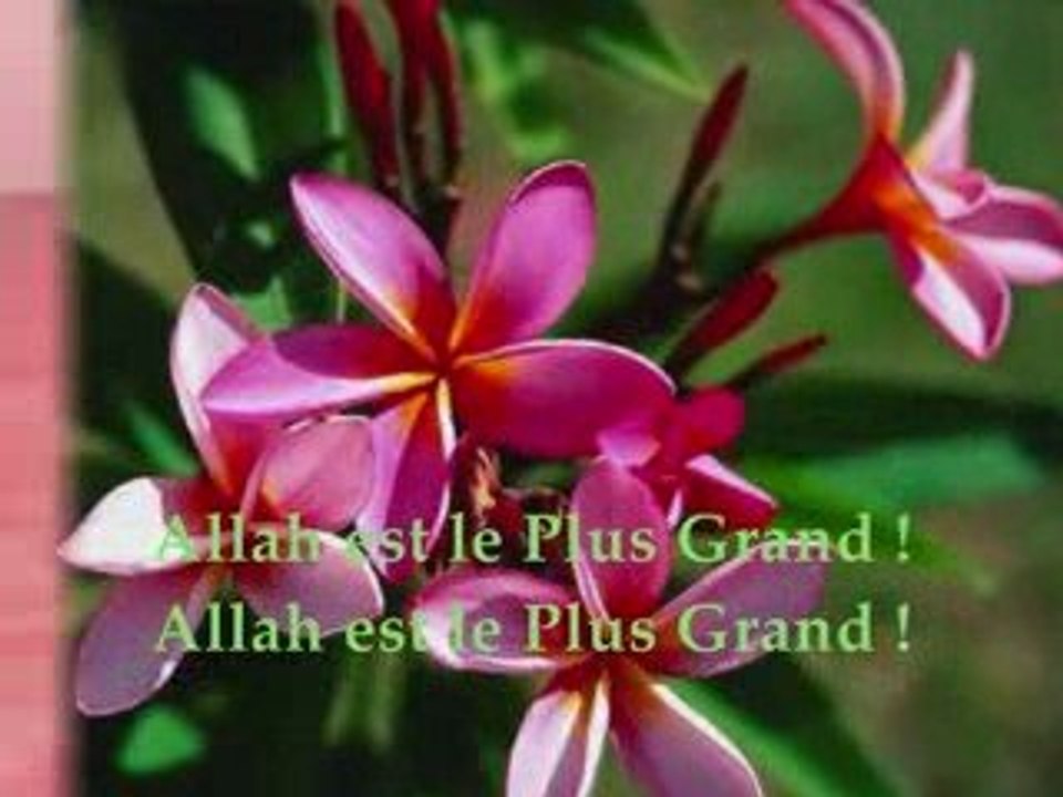 Adhan, iqama, lecture  par Cheikh Al Albany