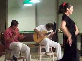 soiree st martin de crau