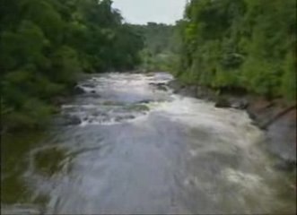 BBC Expédition Guyana1 Un Paradis en Danger