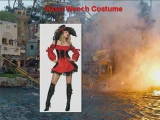 Pirate Wench Costume - Are You A Pirate, A Wench Or Both