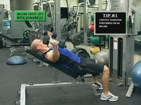 DB Chest Fly | Chest Fly Exercise