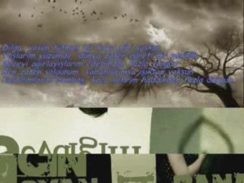 Onur KOÇ - YAR
