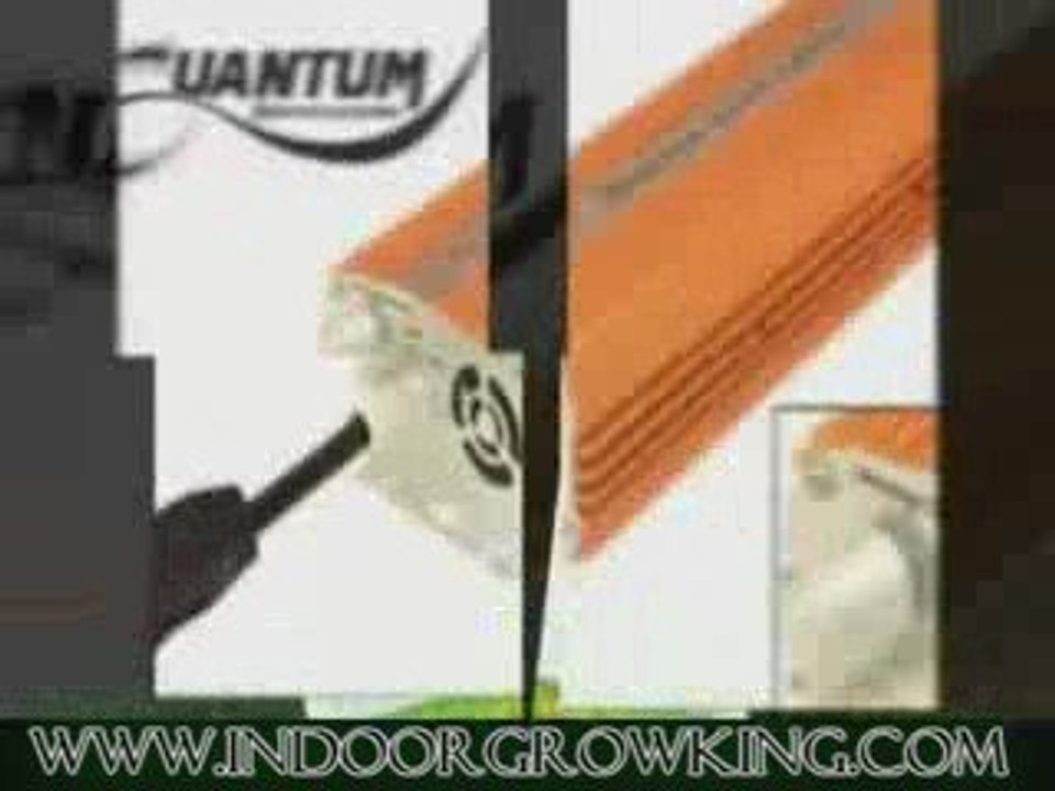 Affordable Grow Light Bulbs at wwww.IndoorGrowKing.com!