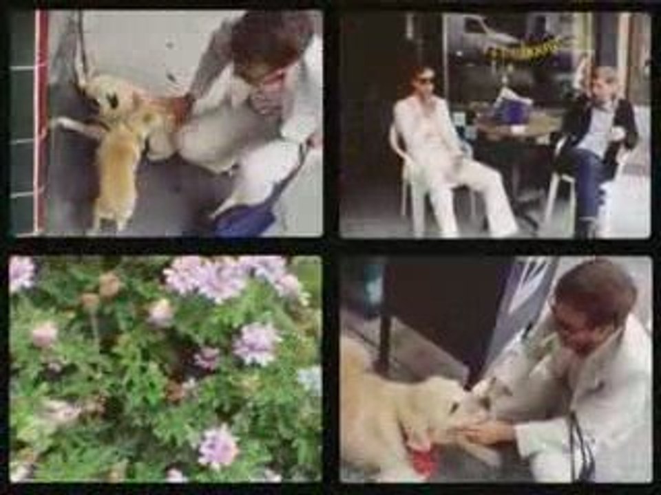 girls - lust for life