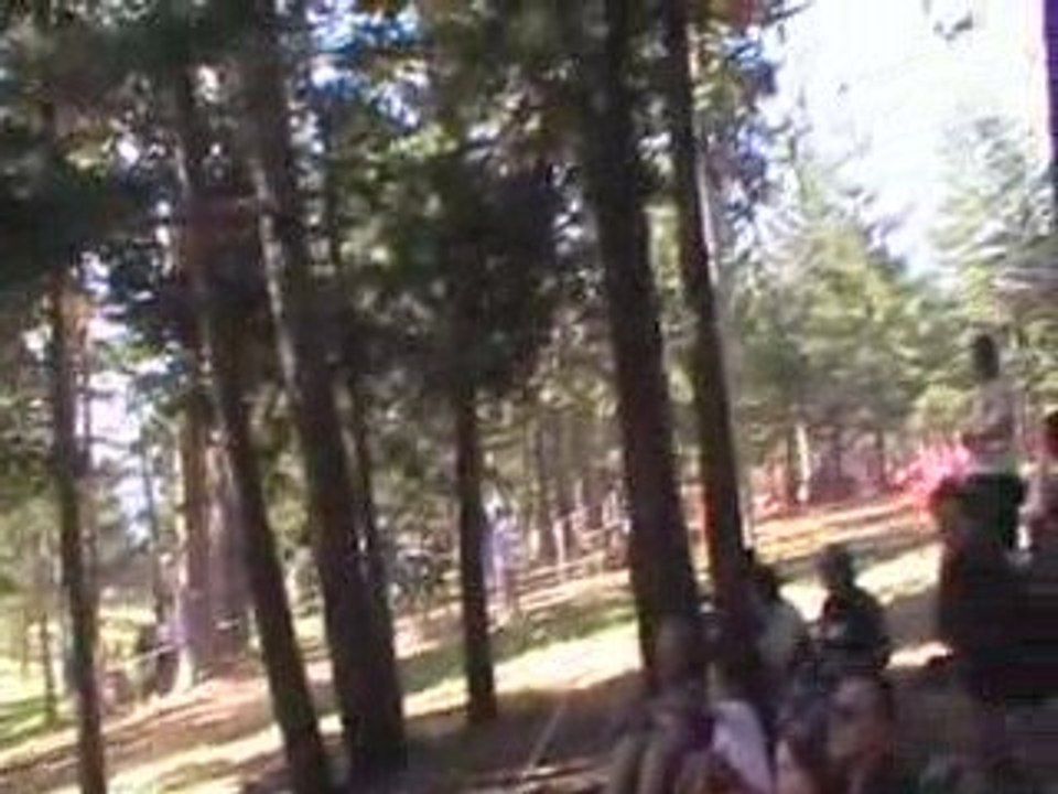 concour d'attelage les angles 2009 marathon