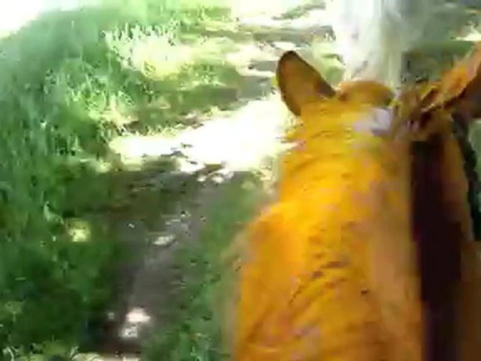balade à cheval