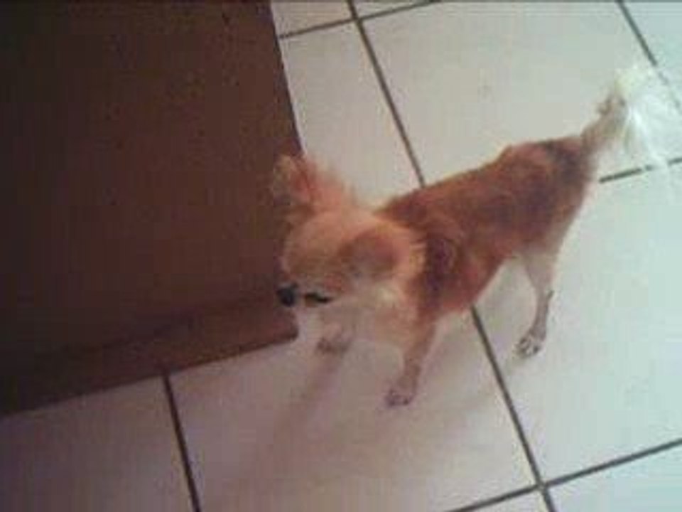 Ugo 2009 003