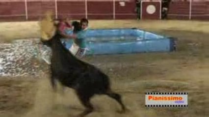 Feria Millas intercanton 2009