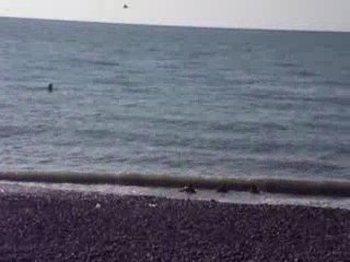 LES VICTORYNE AU TRÉPORT