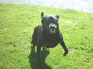 Délire de Prestige après une petite douche..