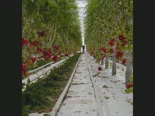 Révoltant ! : culture hors sol