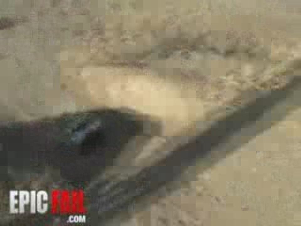 Remote Control Car Fail