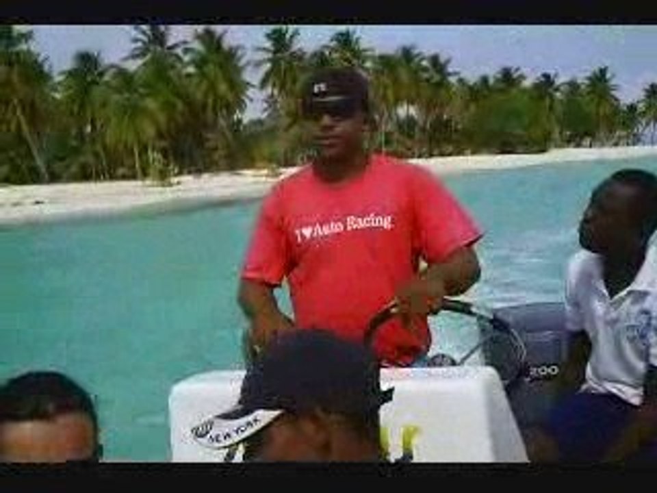 montage saona