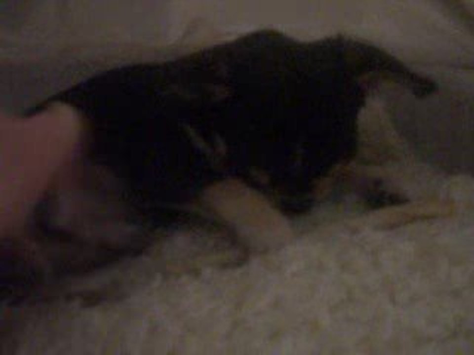 video Baby love 2 005