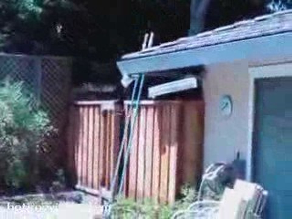 Deer Fails At Jumping Fence