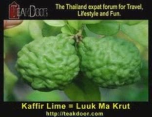 Learn Thai - Herbs & Spices