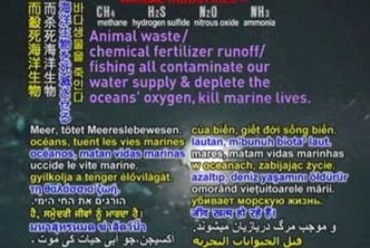 STOP METHANE-A Main Contributor To Global Warming