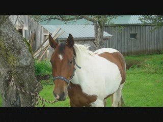 Je l'aime plus que tout !! ... Heidie !
