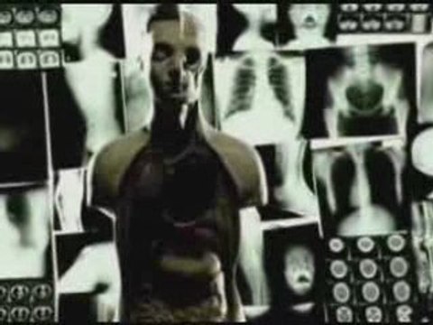 Cilekes Kendimden Geriye