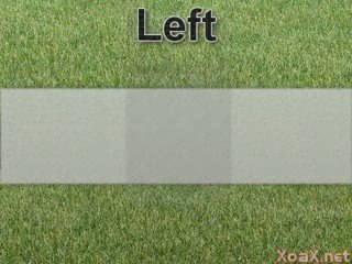 Children's: Opposites