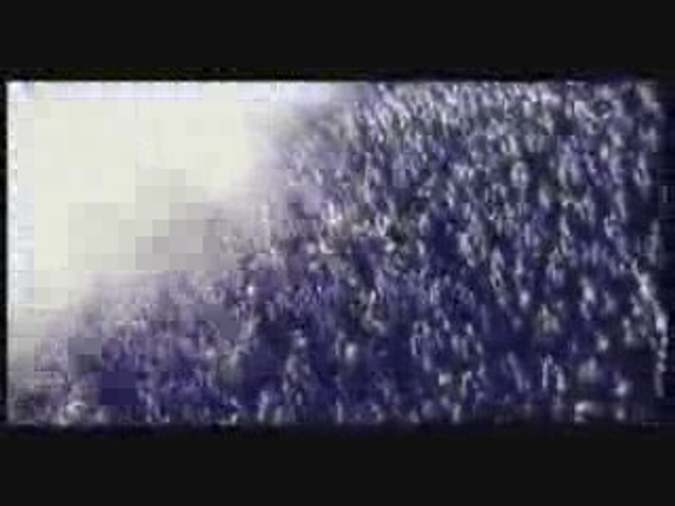 VIBERS AND TARA McDONALD-REVOLUTION(LIBERTY PARADE 2009)