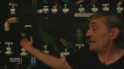 Musée ornithologique Charles Payraudeau à La Chaize-le-Vicomte