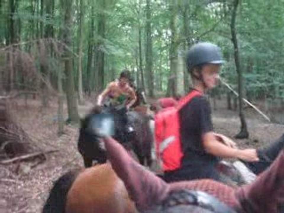 bois de meerdael 08-2009