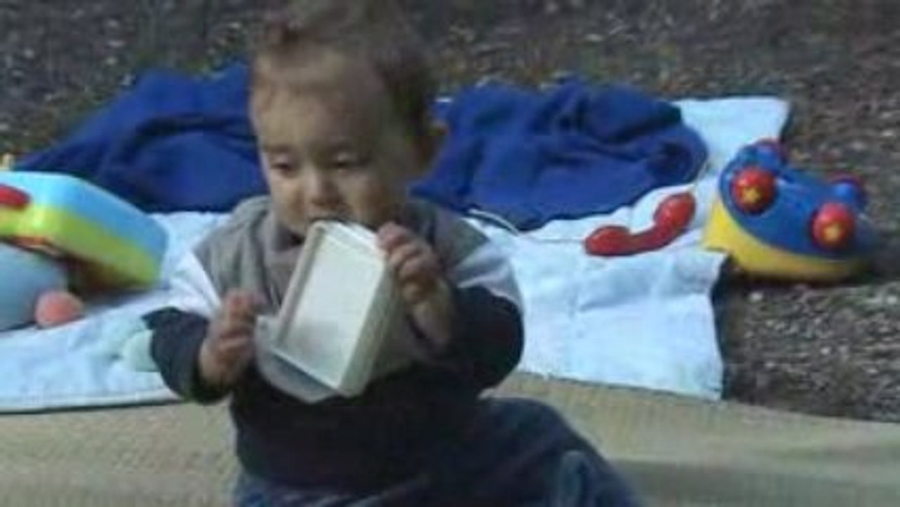 Gabin marche a 4 pattes