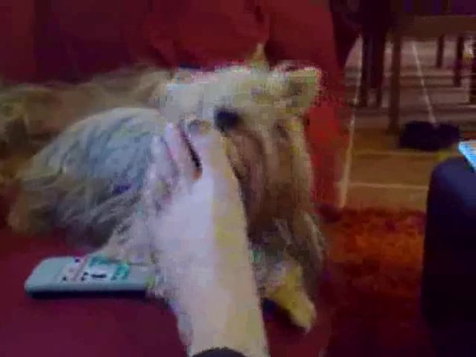 kaya che lecca il mio piede-kaya licks my foot