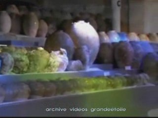 5x5 dynastie tang,trésors engloutis