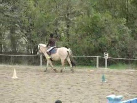 tour de piste avec gribouille au trot