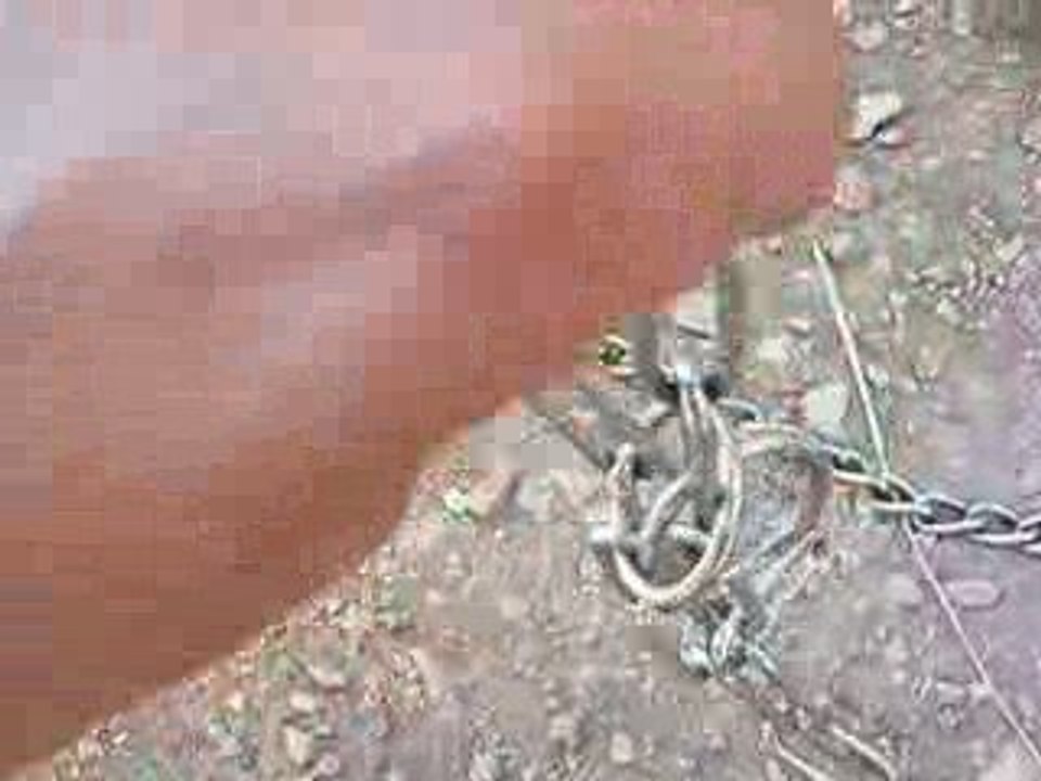 collier-chaîne + laisse