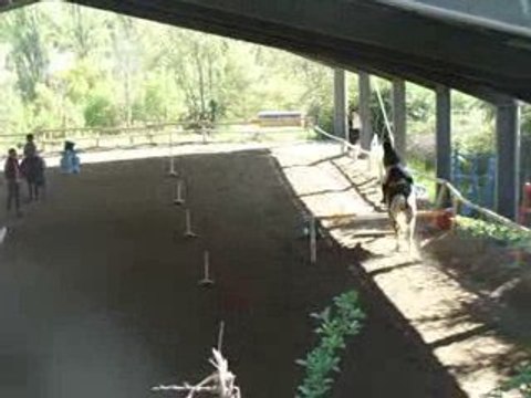 saut d'obstacle galop 2