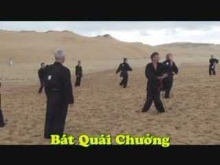 Ecole Cuu Môn Viet Vo Dao - Stage d'été 2009