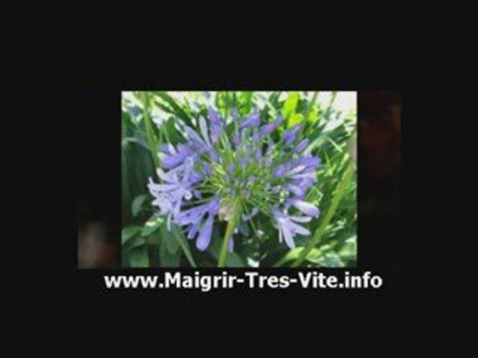 Comment Maigrir Du Ventre | Maigrir Naturellement