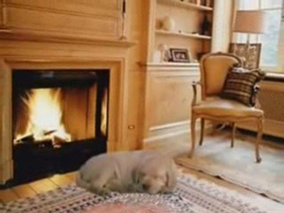 la maison du bonheur