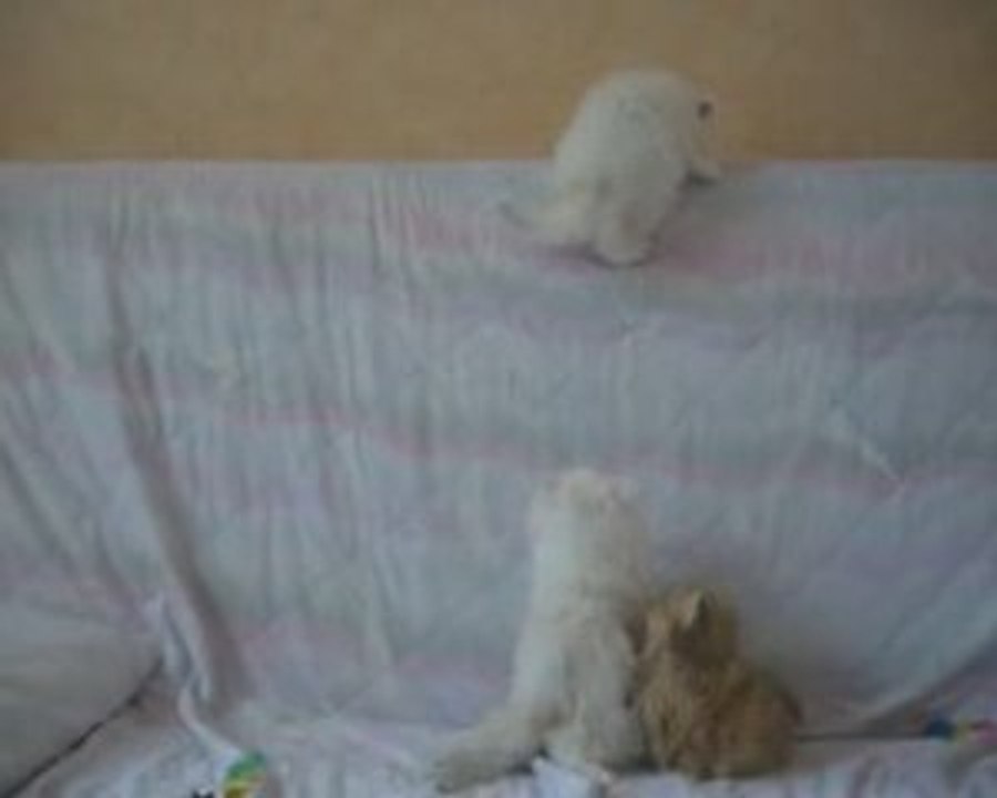 Les 3 monstres_0001