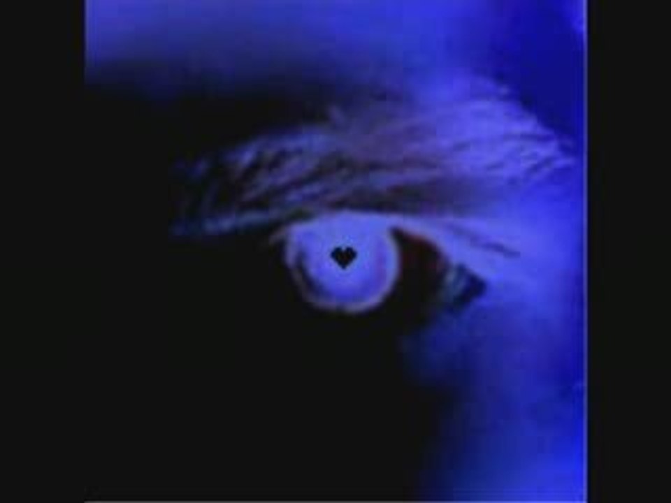 DJ Promo - King Of Pain