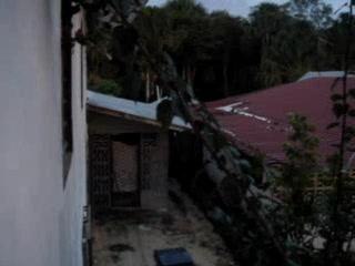 Vue du balcon Paddock