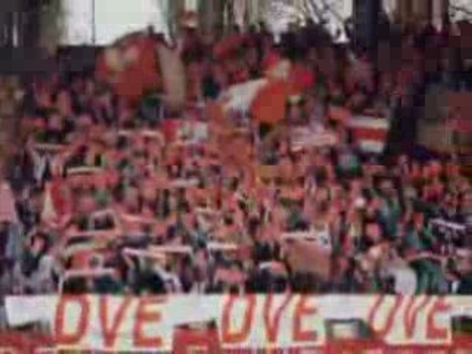 Dogues Virage EST - 20 Ans