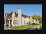 VISTA APARTMENT FOR RENT, CA - 1982 WELLINGTON LANE #80