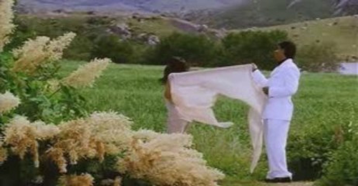 Hum To Deewane Hue (Baadshah) - HindiChannels.in