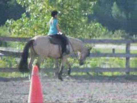 mon cours d'équitation aujourd'hui et papa