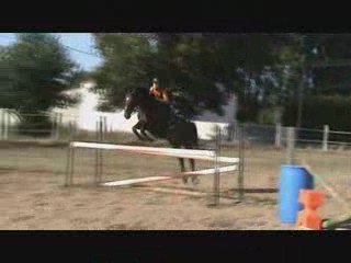 Séance du 12-08-2009