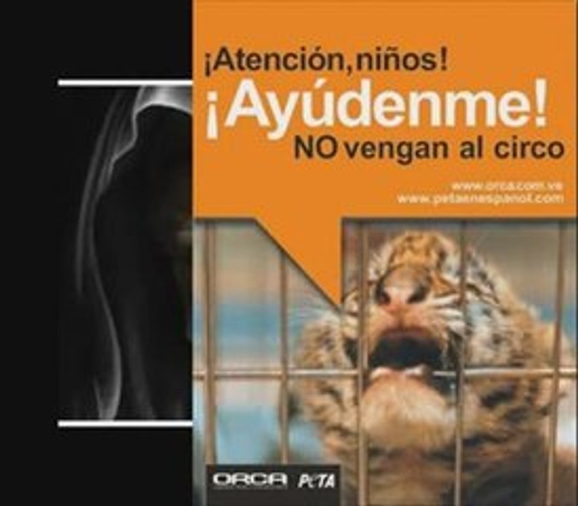 maltrato animal