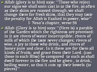 Burns and skin sensations in Quran