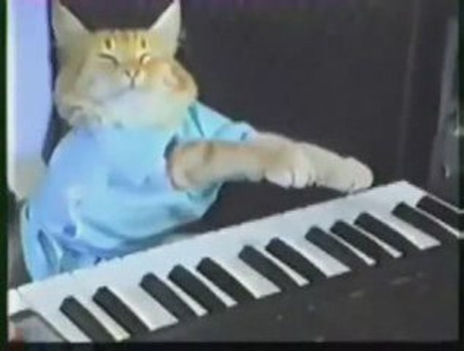 Play Him Off KeyBoard Cat + Coconut Chop FAIL = Too FUNNY!