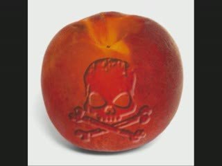 Génocide ! codex alimentarius !!!