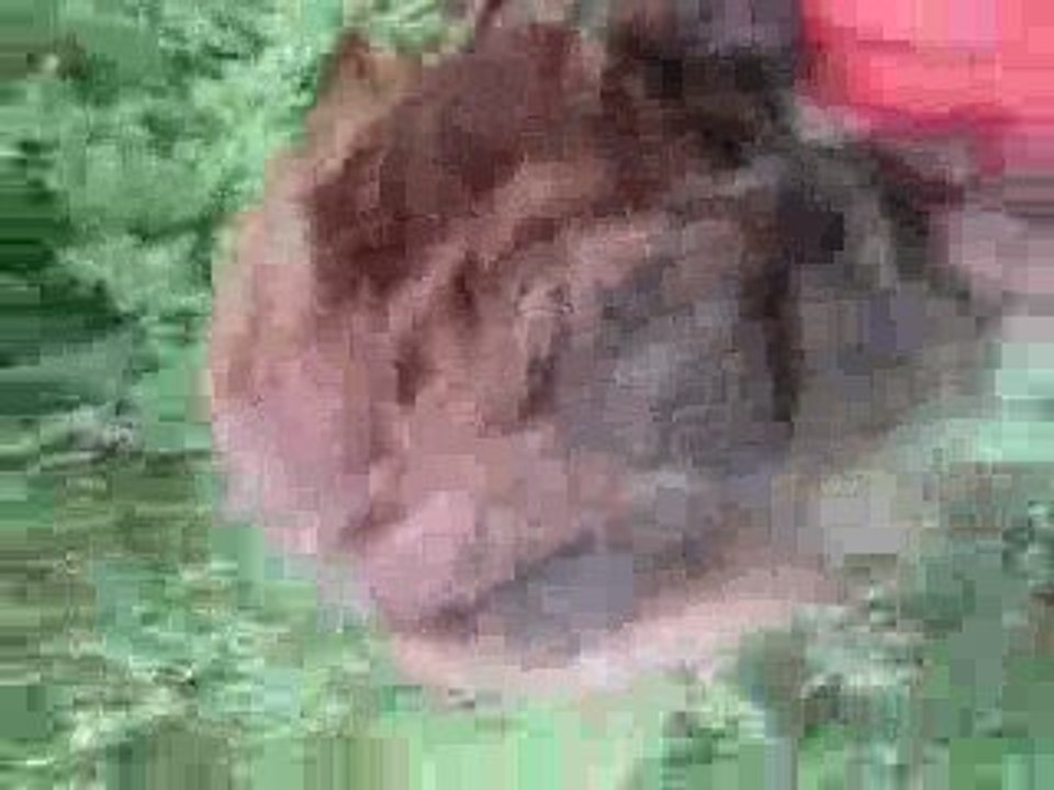 Randomness (8/12/09)