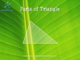 Triangle - Part of Triangle